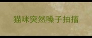 猫咪突然嗓子抽搐