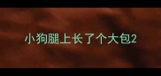 小狗腿上长了个大包