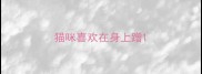 猫咪喜欢在身上蹭