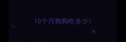 10个月狗狗吃多少