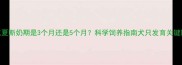 约克夏断奶期是3个月还是5个月科学饲养指南犬只发育关键阶段