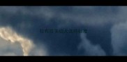 拉布拉多幼犬选择标准