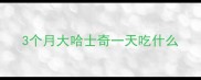 3个月大哈士奇一天吃什么