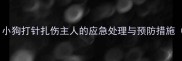 宠物医疗安全指南小狗打针扎伤主人的应急处理与预防措施附专业兽医建议
