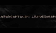 孕期被宠物咬伤后的科学应对指南从紧急处理到法律维权全流程