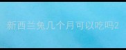 新西兰兔几个月可以吃吗