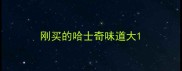 刚买的哈士奇味道大