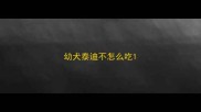 幼犬泰迪不怎么吃