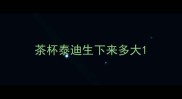 茶杯泰迪生下来多大