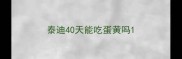 泰迪40天能吃蛋黄吗