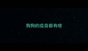 狗狗的疫苗都有啥