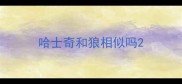 哈士奇和狼相似吗
