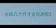 仓鼠几个月才会玩跑轮