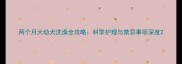 两个月大幼犬洗澡全攻略科学护理与禁忌事项深度
