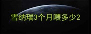 雪纳瑞3个月喂多少