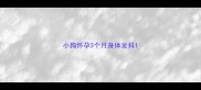 小狗怀孕3个月身体发抖