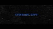 买田园猫也要打疫苗吗