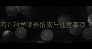 三个月吃干粮有害吗科学喂养指南与注意事项附幼犬营养方案