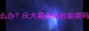 猫咪突然呕吐怎么办庆大霉素真的能喂吗兽医紧急科普
