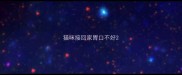 猫咪接回家胃口不好