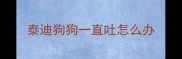 泰迪狗狗一直吐怎么办