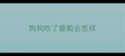 狗狗吃了葡萄会怎样