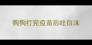 狗狗打完疫苗后吐白沫