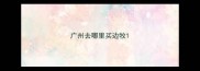 广州去哪里买边牧