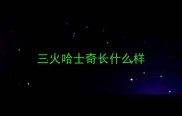 三火哈士奇长什么样