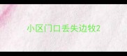 小区门口丢失边牧