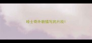 哈士奇外貌描写的片段