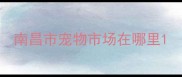 南昌市宠物市场在哪里