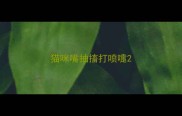 猫咪嘴抽搐打喷嚏
