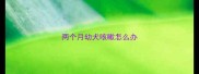 两个月幼犬咳嗽怎么办