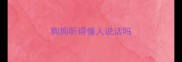 狗狗听得懂人说话吗