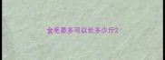 金毛最多可以长多少斤