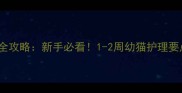 15天猫咪喂养全攻略新手必看1-2周幼猫护理要点与注意事项
