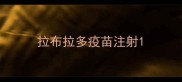 拉布拉多疫苗注射