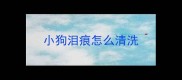 小狗泪痕怎么清洗