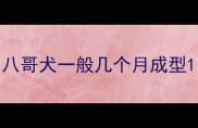 八哥犬一般几个月成型