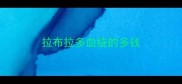 拉布拉多血统的多钱