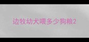 边牧幼犬喂多少狗粮