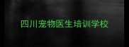 四川宠物医生培训学校