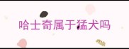 哈士奇属于猛犬吗