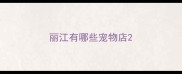 丽江有哪些宠物店
