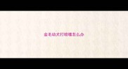 金毛幼犬打喷嚏怎么办