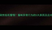 猫咪突然低吼警惕猫咪异常行为的5大原因及应对指南