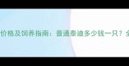 泰迪犬价格及饲养指南普通泰迪多少钱一只全攻略