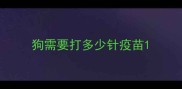 狗需要打多少针疫苗