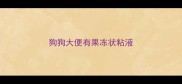 狗狗大便有果冻状粘液